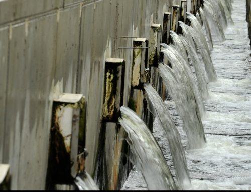 What Are the Different Types of Wastewater Treatment and How Can They Help Me?