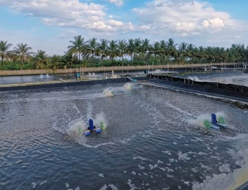 Membrane Bioreactor (MBR) vs Extended Aeration: Which Technology Performs Better for High-Strength Wastewater?